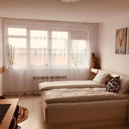 Studio 1O1O1 Appartement Piatra Neamţ Buitenkant foto